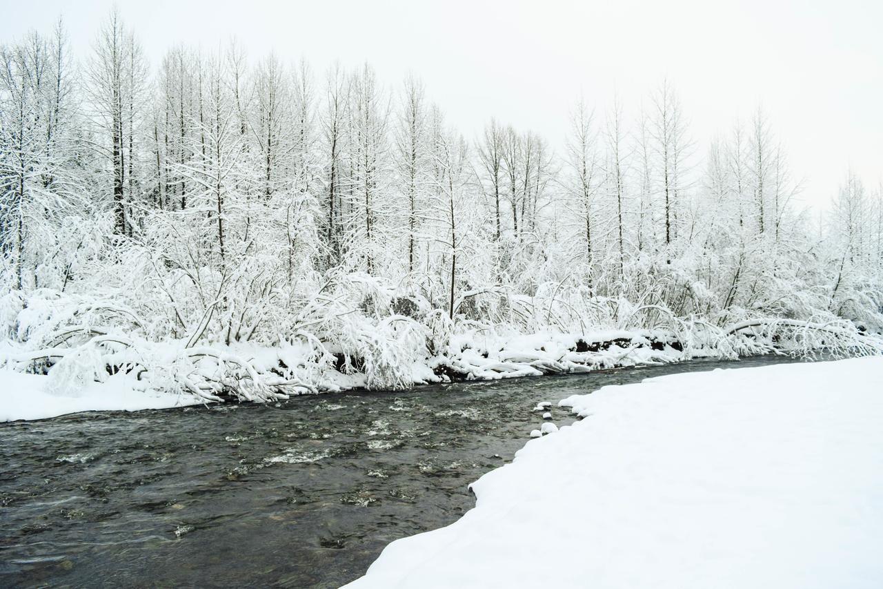 Snowbird Chalet #8 Girdwood Ngoại thất bức ảnh