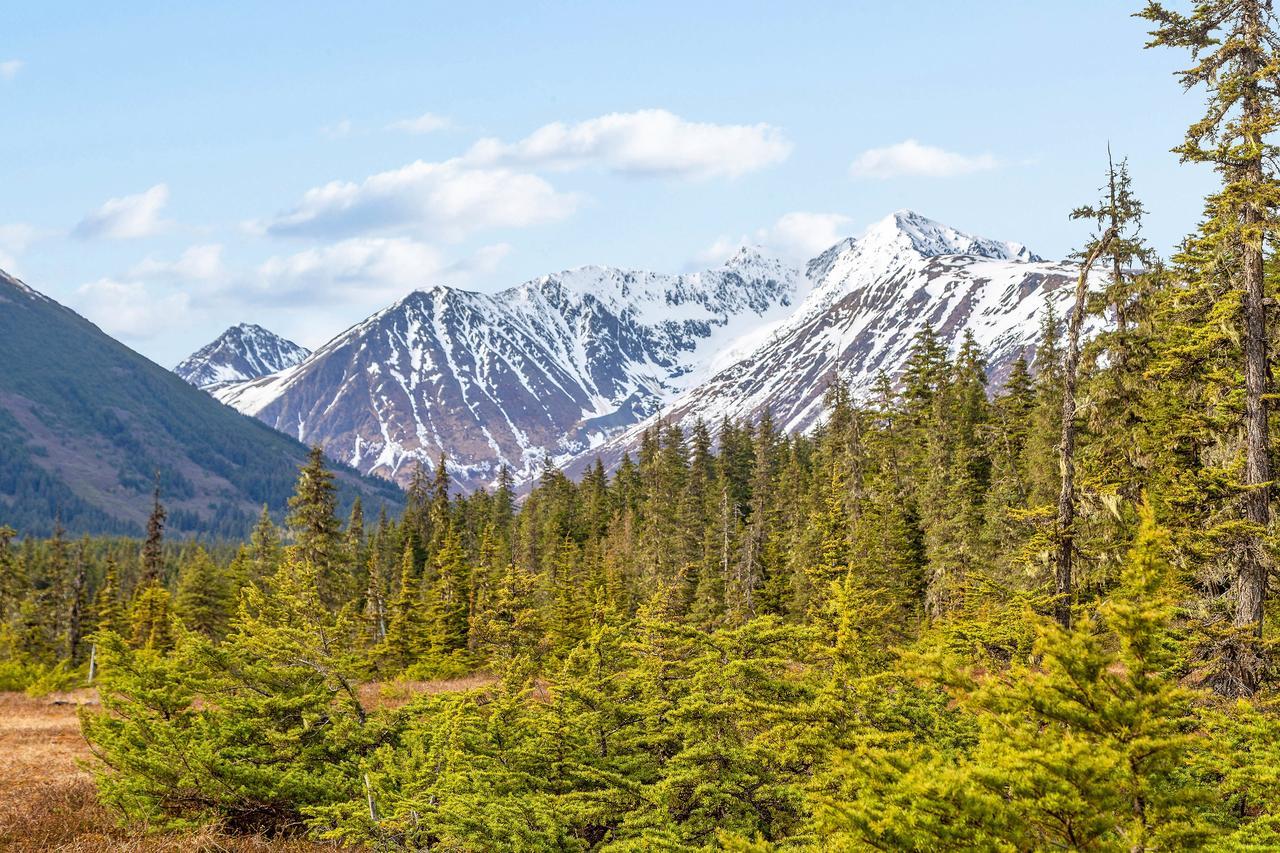 Snowbird Chalet #8 Girdwood Ngoại thất bức ảnh