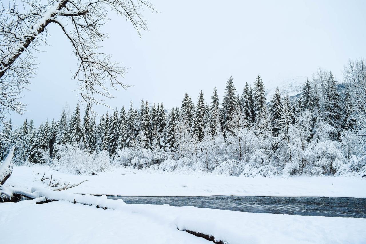 Snowbird Chalet #8 Girdwood Ngoại thất bức ảnh