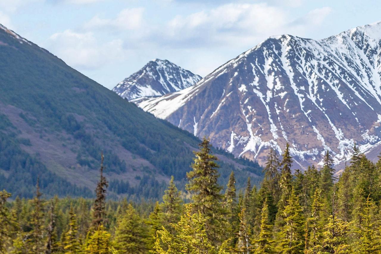 Snowbird Chalet #8 Girdwood Ngoại thất bức ảnh